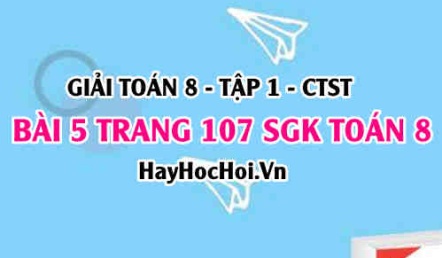 Giải bài 5 trang 107 Toán 8 Tập 1 SGK Chân trời sáng tạo